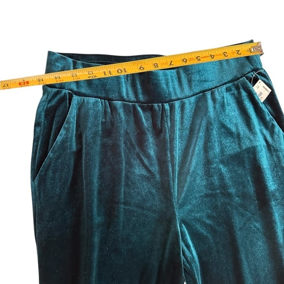 Rachel Roy Velvet Pull On Dark Green Teal Turquoise Pants Size M NWT - Picture 11 of 17